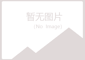 阳明区白山冶炼有限公司